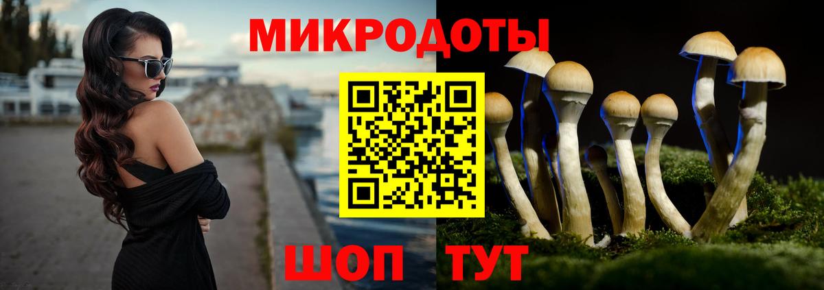 Галлюциногенные грибы Psilocybine cubensis  Вход с VPN  Долгопрудный 